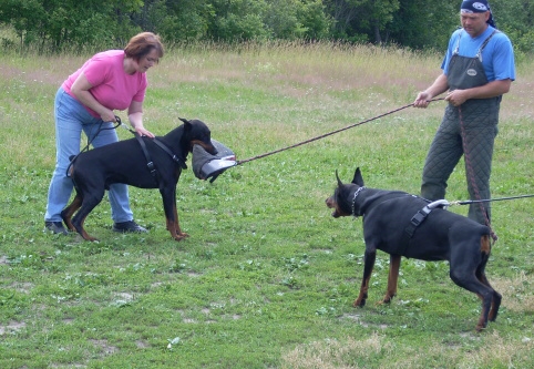 Training in Estonia 6/2007